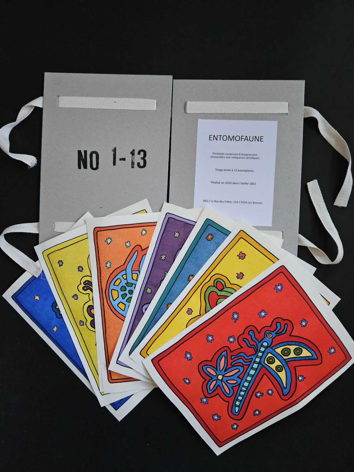 Portfolio Entomofaune : chemise n° 1-13 et linogravures d'insectes colorées
